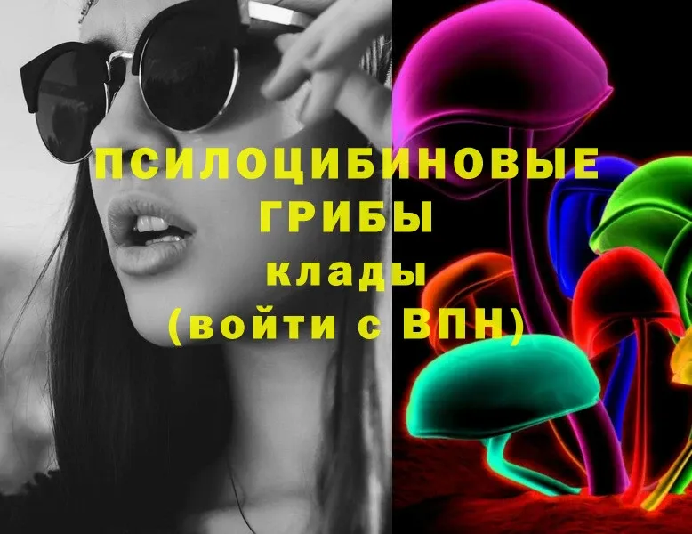 купить   Верхняя Тура  Галлюциногенные грибы Cubensis 